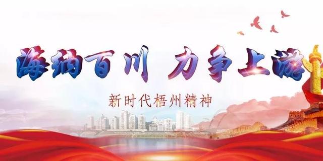 梧州市生活垃圾焚燒發(fā)電廠計劃明年完工,日處理垃圾可達(dá)2000噸